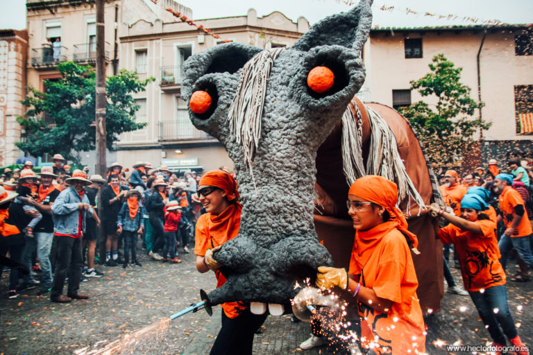 Camell de Molins de Rei