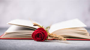 Parada de llibres per Sant Jordi